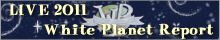 wp-logo